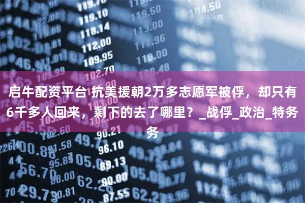 启牛配资平台 抗美援朝2万多志愿军被俘，却只有6千多人回来，剩下的去了哪里？_战俘_政治_特务