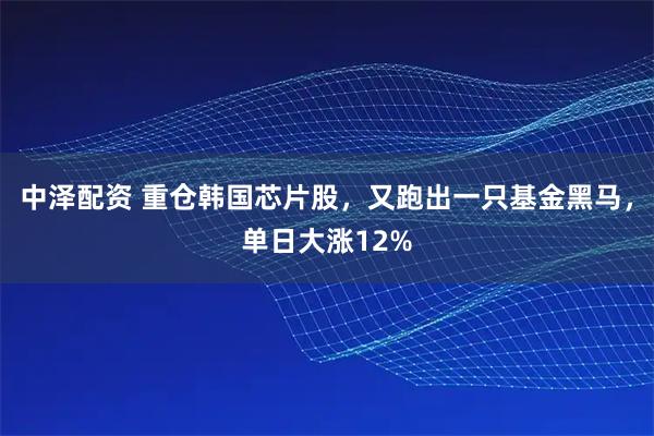 中泽配资 重仓韩国芯片股，又跑出一只基金黑马，单日大涨12%